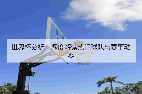 世界杯分析：深度解读热门球队与赛事动态