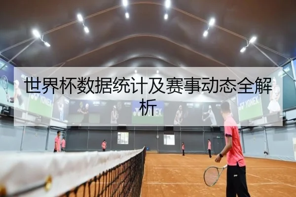 世界杯数据统计及赛事动态全解析