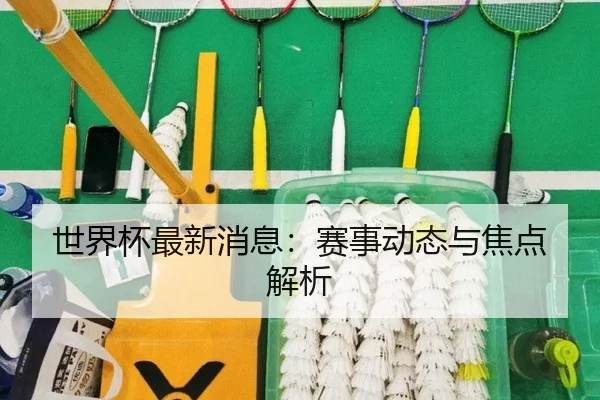 世界杯最新消息：赛事动态与焦点解析