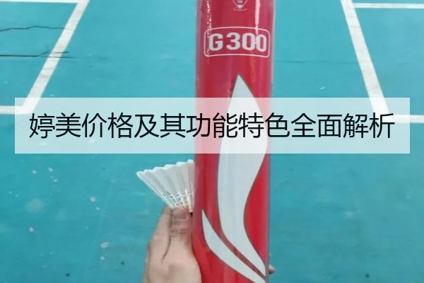 婷美价格及其功能特色全面解析